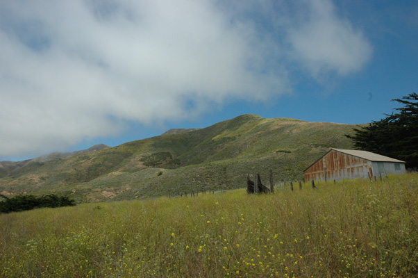 Soberanes Canyon 106.jpg